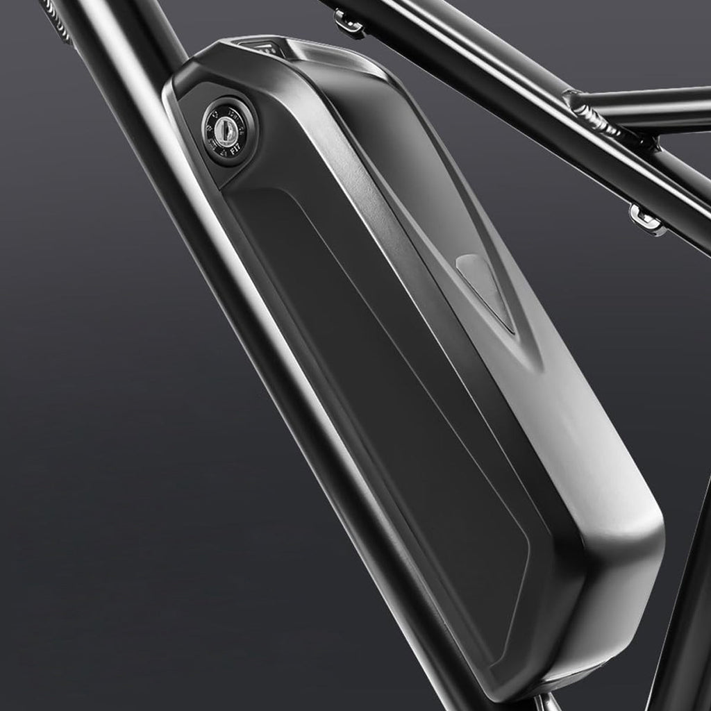 PASEBIKE C29 PRO replacement battery pack