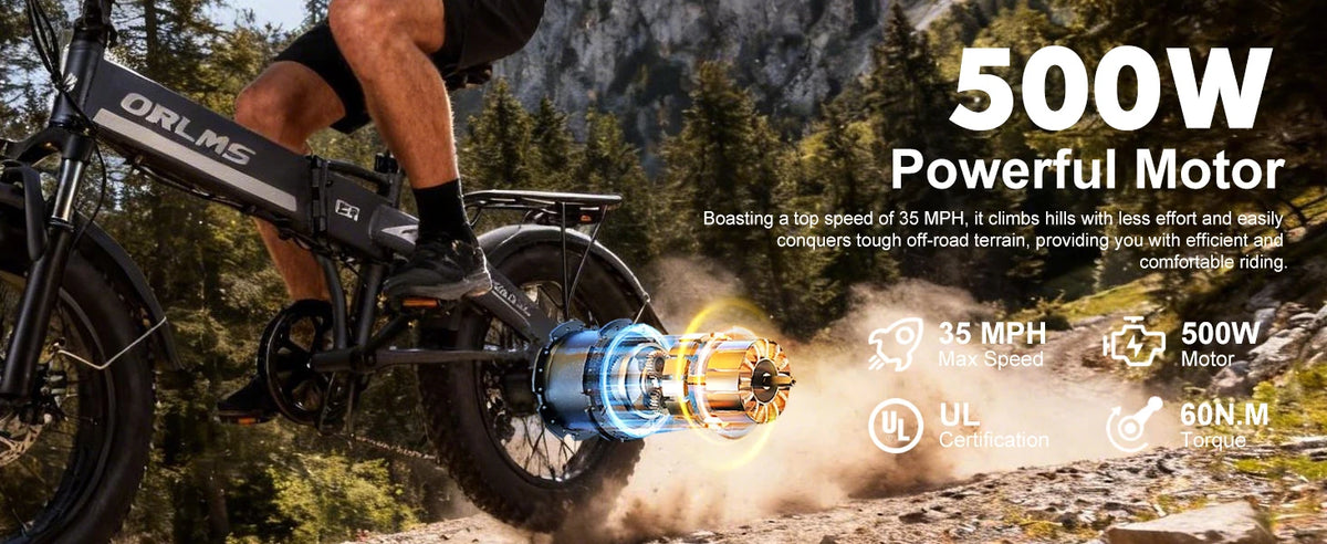 ORLMS S9F 20 x 4.0 Fat Tire Folding Electric Bike