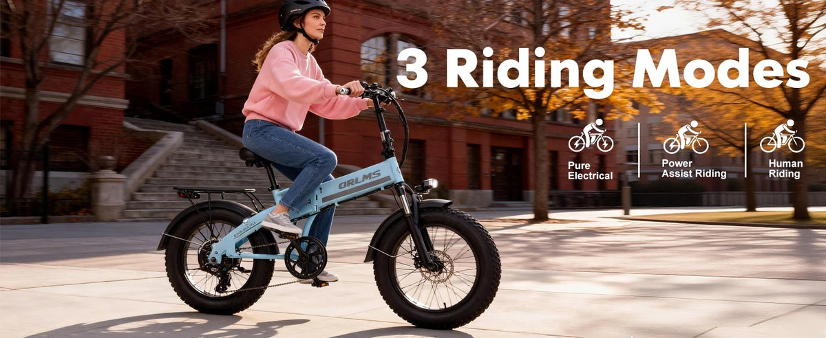 ORLMS S9F 20 x 4.0 Fat Tire Folding Electric Bike