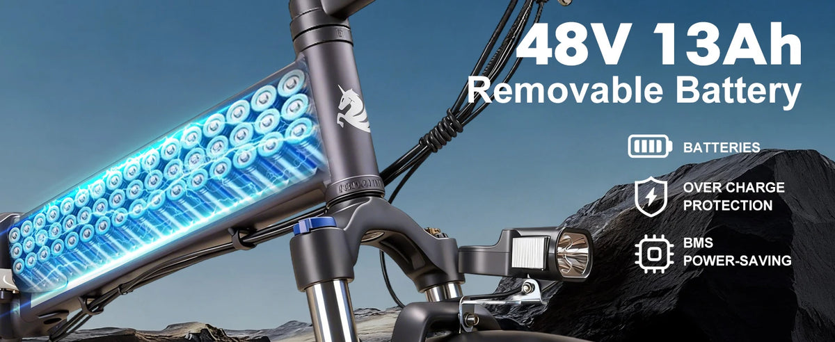 ORLMS S9F 20 x 4.0 Fat Tire Folding Electric Bike